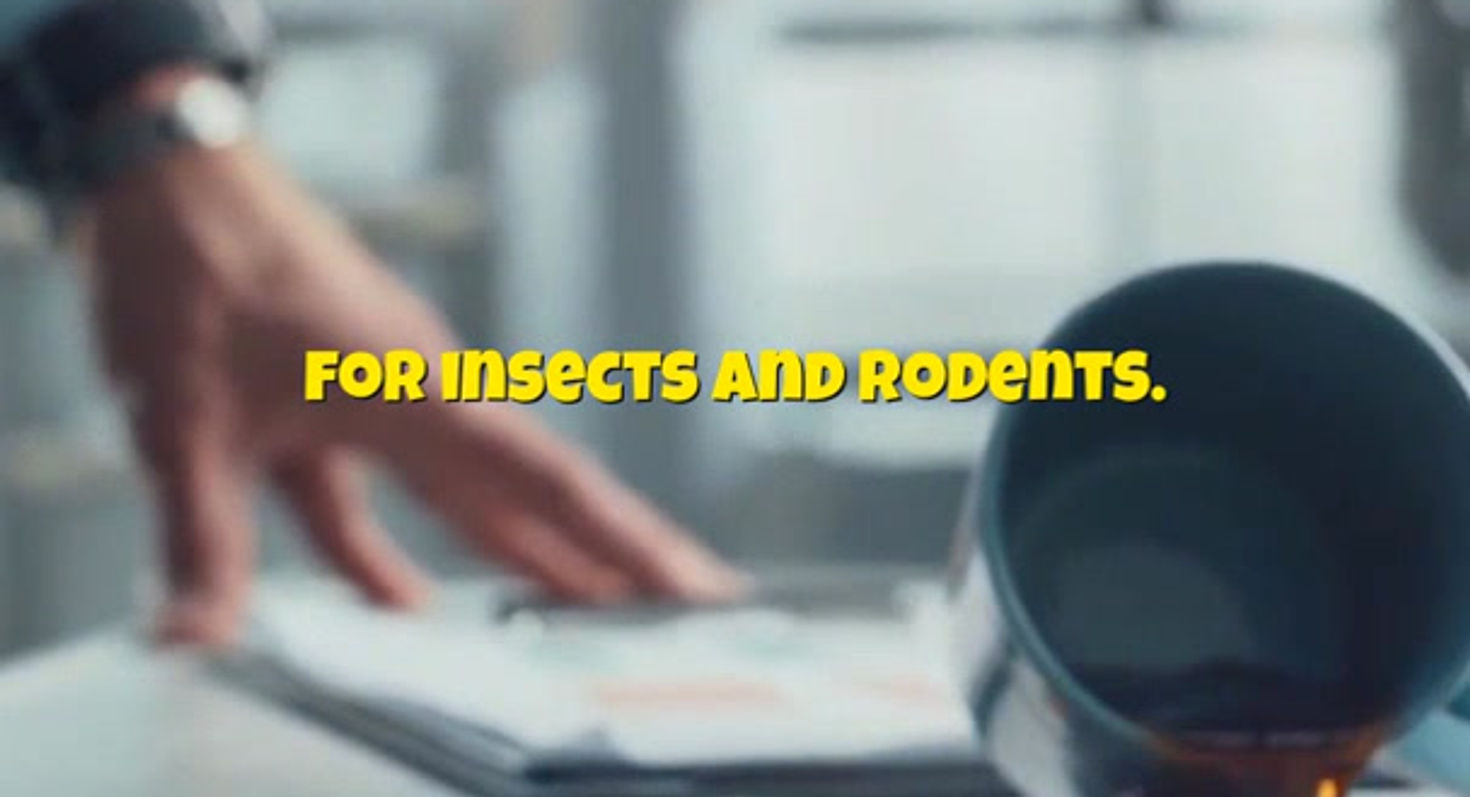 What preventive measures can office employees take against pests